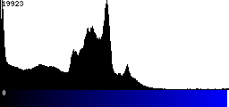 Blue Histogram