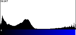 Blue Histogram