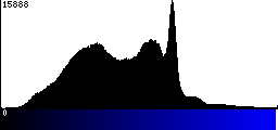 Blue Histogram