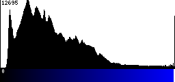 Blue Histogram