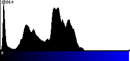 Blue Histogram