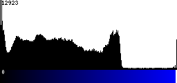 Blue Histogram