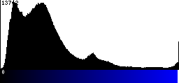 Blue Histogram