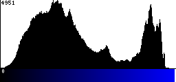 Blue Histogram