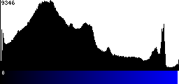 Blue Histogram