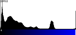 Blue Histogram