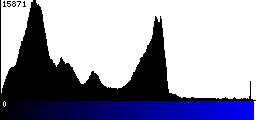 Blue Histogram