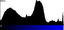 Blue Histogram