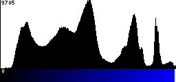 Blue Histogram