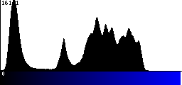 Blue Histogram