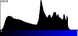 Blue Histogram