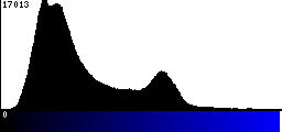 Blue Histogram