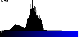 Blue Histogram