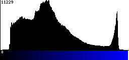 Blue Histogram