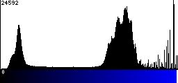 Blue Histogram