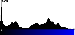 Blue Histogram