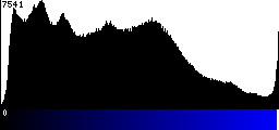 Blue Histogram