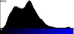 Blue Histogram