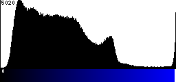 Blue Histogram