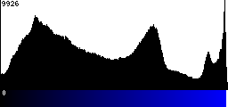 Blue Histogram