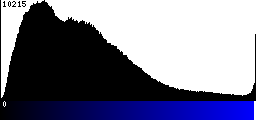 Blue Histogram