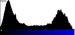 Blue Histogram