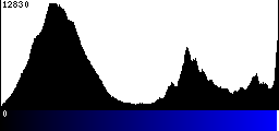 Blue Histogram