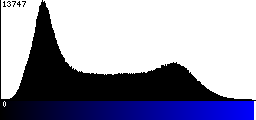 Blue Histogram