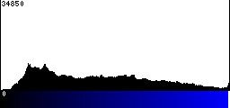 Blue Histogram