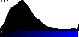 Blue Histogram