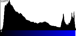 Blue Histogram