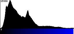 Blue Histogram