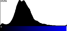 Blue Histogram