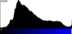 Blue Histogram