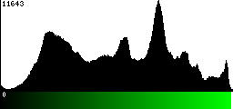 Green Histogram