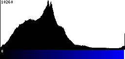 Blue Histogram