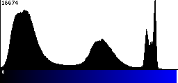 Blue Histogram