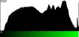 Green Histogram