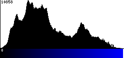 Blue Histogram