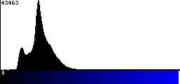 Blue Histogram