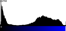 Blue Histogram