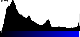 Blue Histogram