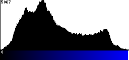 Blue Histogram