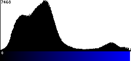 Blue Histogram