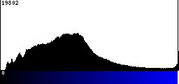 Blue Histogram