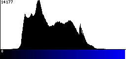 Blue Histogram