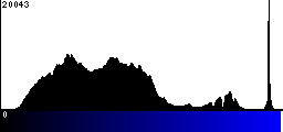 Blue Histogram