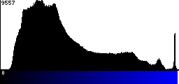 Blue Histogram