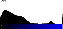 Blue Histogram