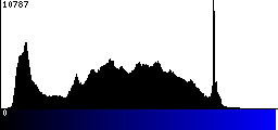 Blue Histogram